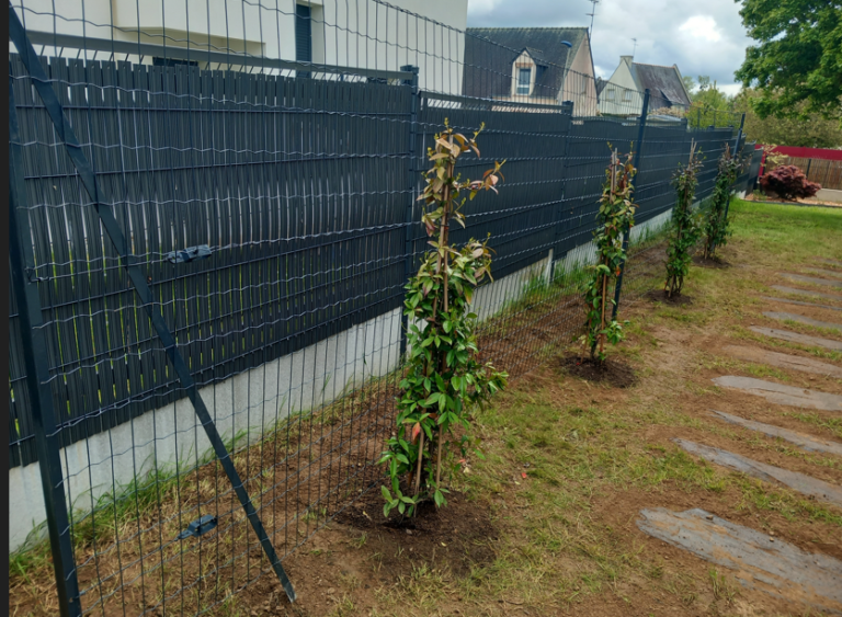Structure pour plantes grimpantes